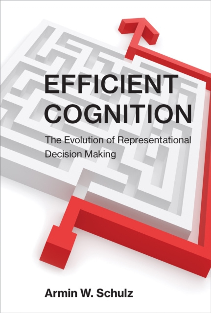 E-knjiga Efficient Cognition Armin W. Schulz