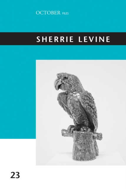 E-Book Sherrie Levine Howard Singerman