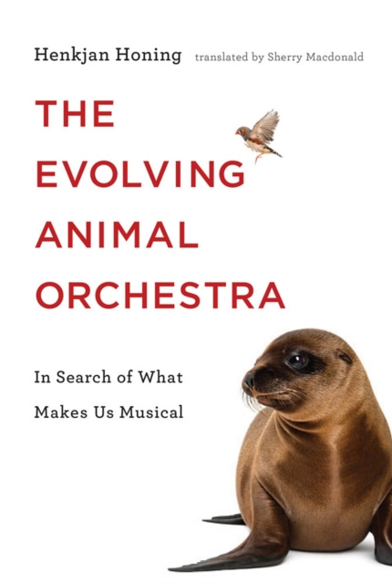 E-book Evolving Animal Orchestra Henkjan Honing