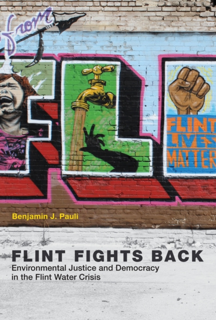 E-book Flint Fights Back Benjamin J. Pauli