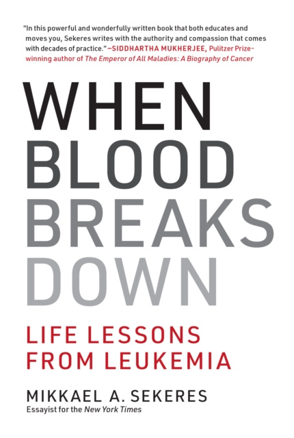 E-book When Blood Breaks Down Mikkael A. Sekeres