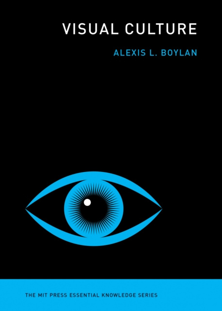 E-knjiga Visual Culture Alexis L. Boylan