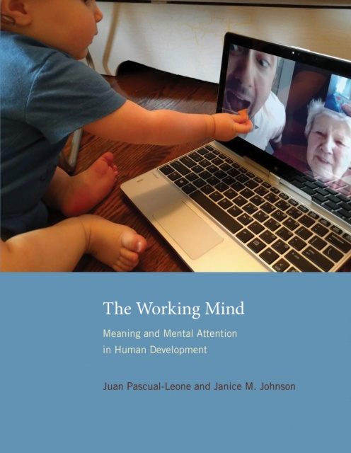 E-knjiga Working Mind Juan Pascual-Leone