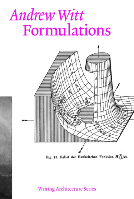 E-knjiga Formulations Andrew Witt