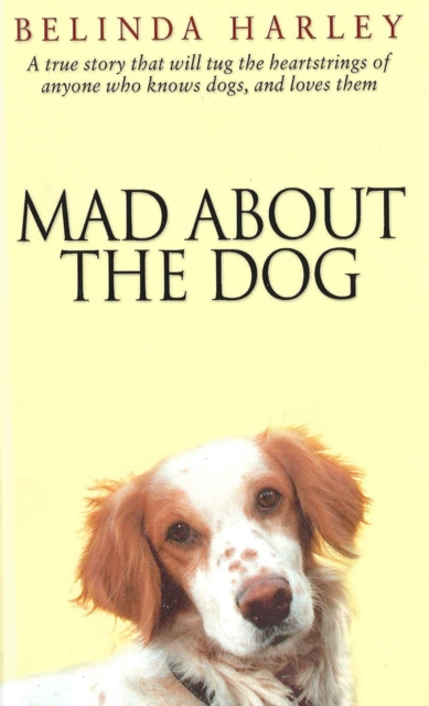 E-book Mad About the Dog Belinda Harley
