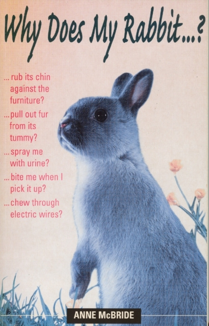 E-knjiga Why Does My Rabbit...? Anne McBride