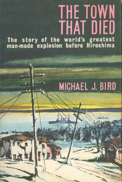 E-book Town That Died Michael J. Bird