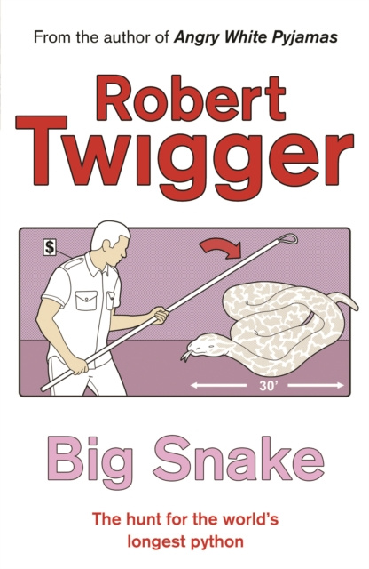E-book Big Snake Robert Twigger