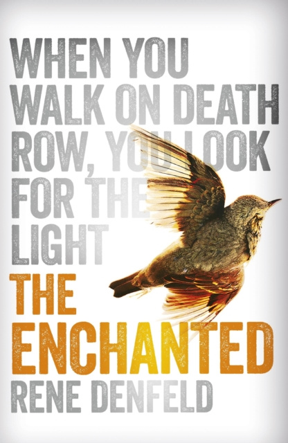 E-knjiga Enchanted Rene Denfeld