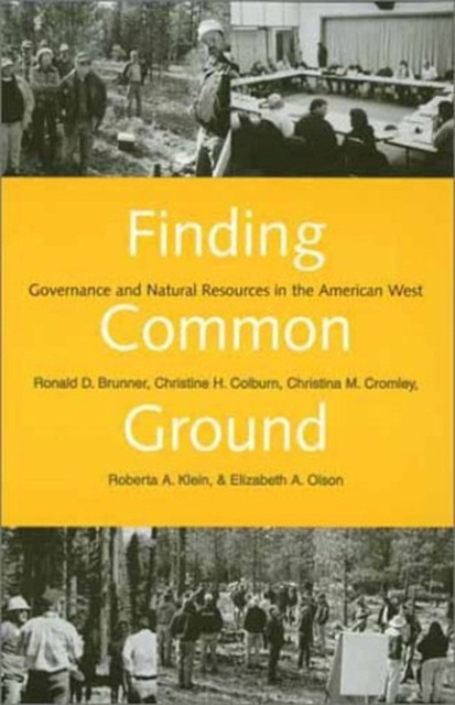 E-knjiga Finding Common Ground Brunner Ronald D. Brunner