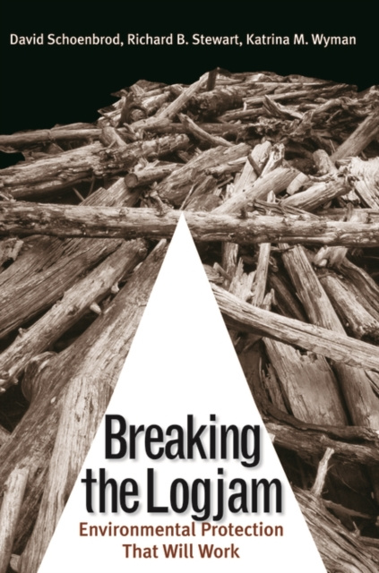 E-knjiga Breaking the Logjam Schoenbrod David Schoenbrod