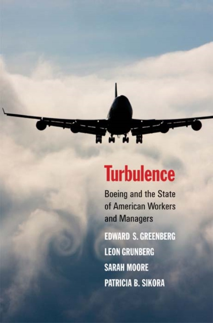 Libro elettronico Turbulence Greenberg Edward S. Greenberg