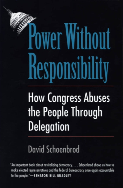 E-book Power Without Responsibility David Schoenbrod