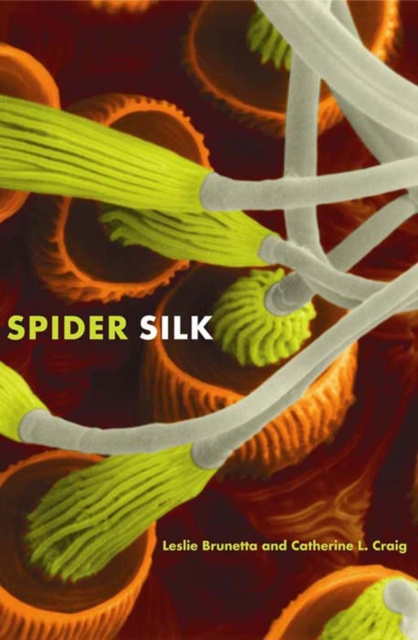 E-book Spider Silk Brunetta Leslie Brunetta