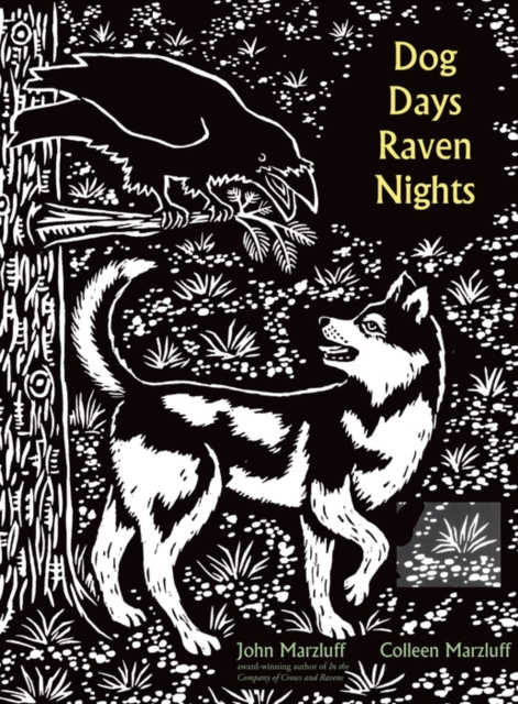 E-kniha Dog Days, Raven Nights Marzluff John M. Marzluff