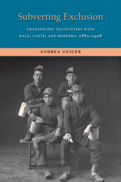 E-knjiga Subverting Exclusion Geiger Andrea Geiger