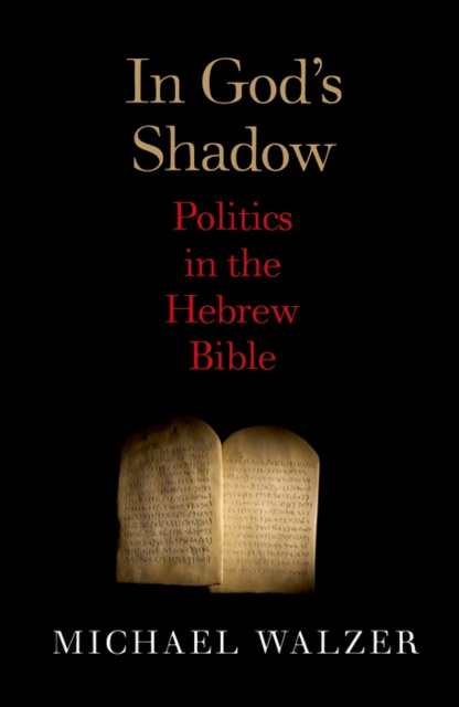 E-book In God's Shadow Walzer Michael Walzer