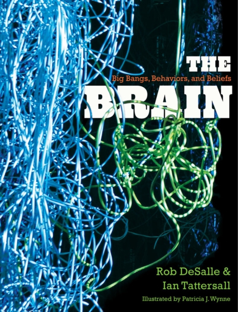 E-book Brain Rob DeSalle