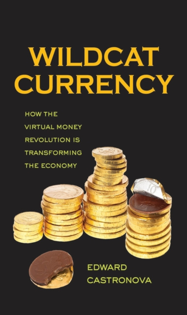 E-book Wildcat Currency Castronova Edward Castronova