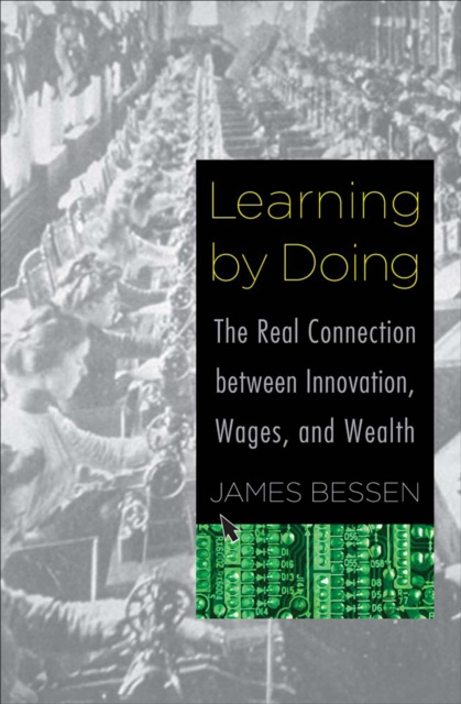 E-knjiga Learning by Doing James Bessen