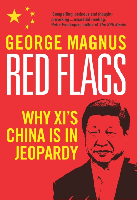 E-knjiga Red Flags Magnus George Magnus