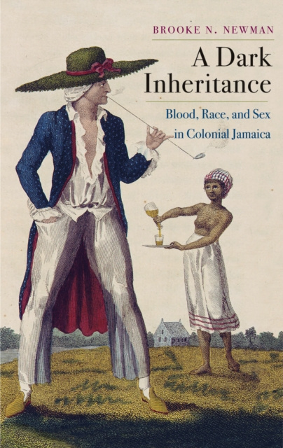 E-knjiga Dark Inheritance Newman Brooke N. Newman
