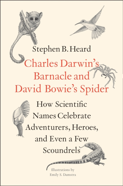 E-knjiga Charles Darwin's Barnacle and David Bowie's Spider Heard Stephen B. Heard