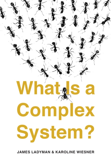 E-kniha What Is a Complex System? Ladyman James Ladyman