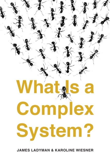 E-book What Is a Complex System? Ladyman James Ladyman
