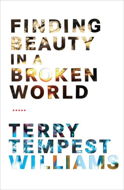 E-kniha Finding Beauty in a Broken World Terry Tempest Williams