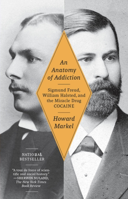 E-kniha Anatomy of Addiction Howard Markel