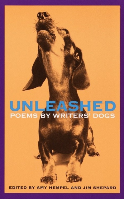 E-Book Unleashed Amy Hempel