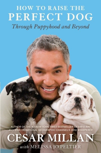 E-kniha How to Raise the Perfect Dog Cesar Millan
