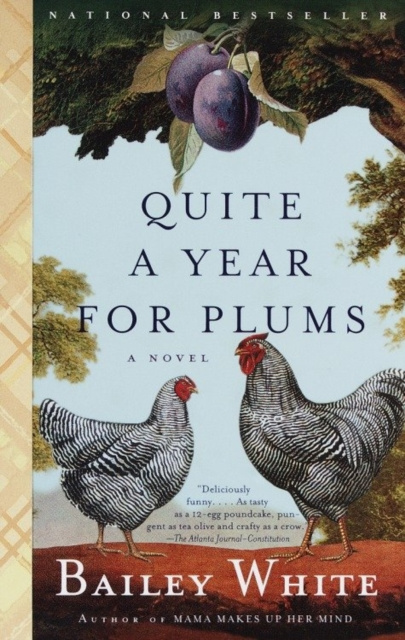E-book Quite a Year for Plums Bailey White