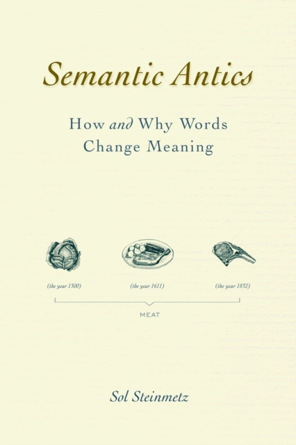 E-knjiga Semantic Antics Sol Steinmetz