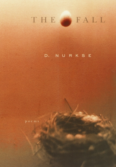 E-knjiga Fall D. Nurkse