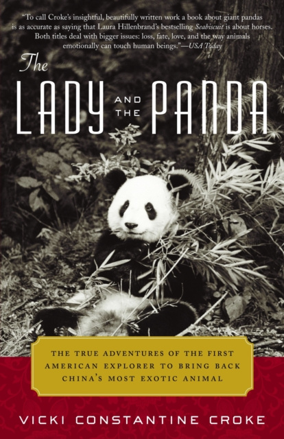 E-kniha Lady and the Panda Vicki Croke