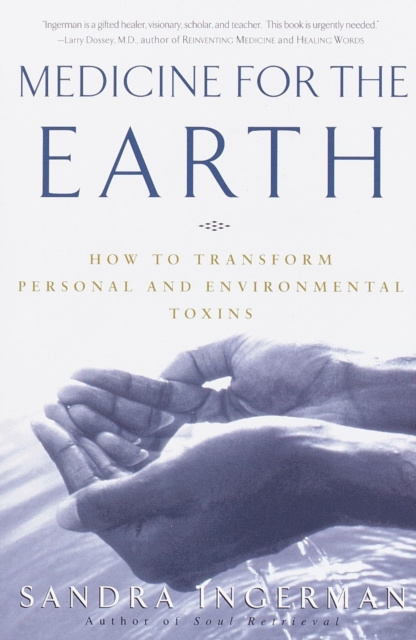 E-Book Medicine for the Earth Sandra Ingerman