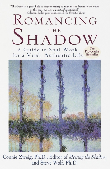 ebook Romancing the Shadow Connie Zweig