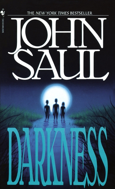 E-knjiga Darkness John Saul