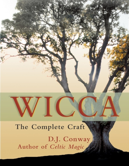E-kniha Wicca D.J. Conway
