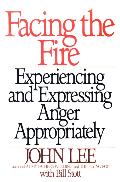 E-knjiga Facing the Fire John Lee