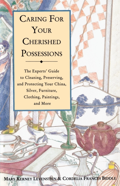 E-kniha Caring for Your Cherished Possessions Mary K. Levenstein