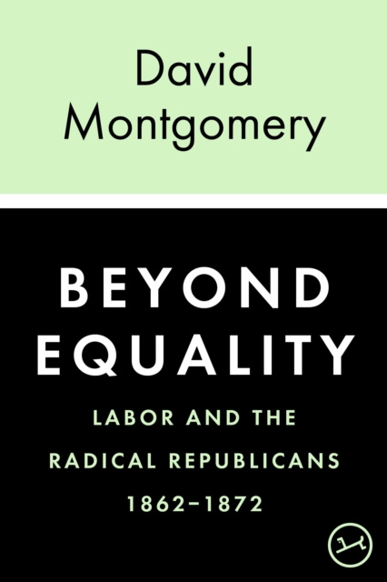 E-book Beyond Equality David Montgomery