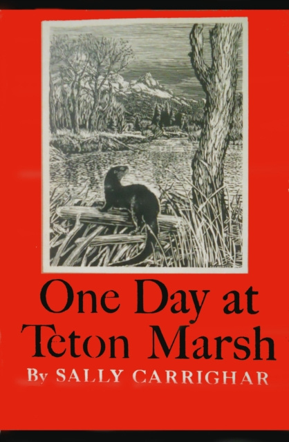 E-book One Day At Teton Marsh Sally Carrighar