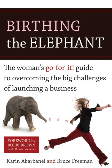 E-kniha Birthing the Elephant Karin Abarbanel