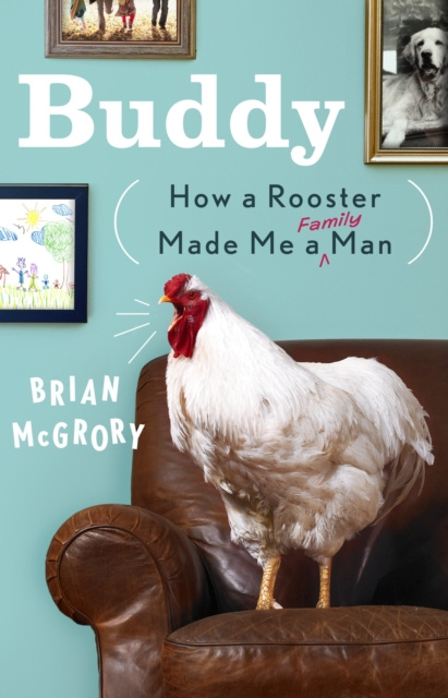 E-knjiga Buddy Brian McGrory