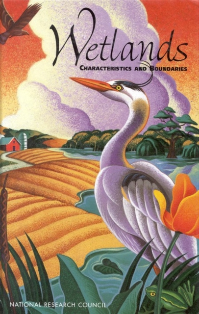 E-book Wetlands National Research Council