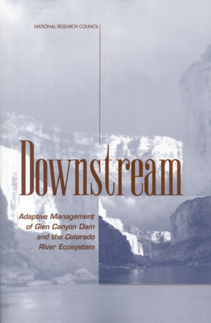 E-knjiga Downstream National Research Council