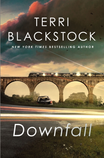 E-knjiga Downfall Terri Blackstock